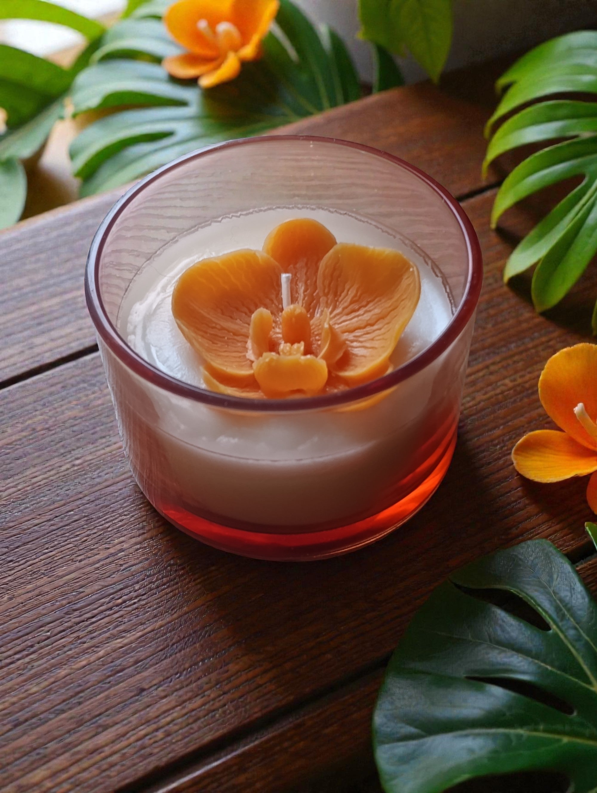 Дива орхидея