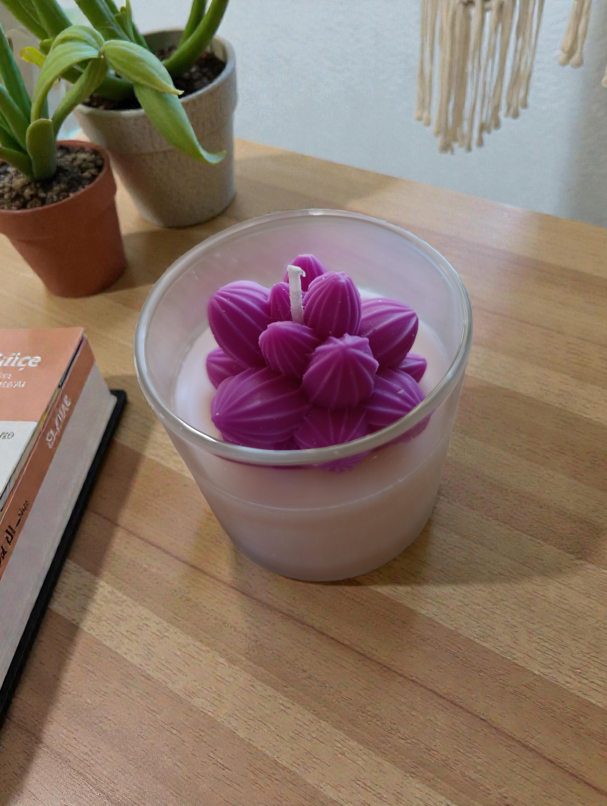 Пустинно цвете